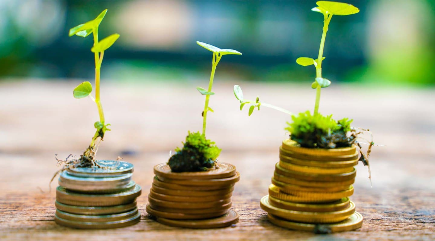 green sprouts growing out from coins